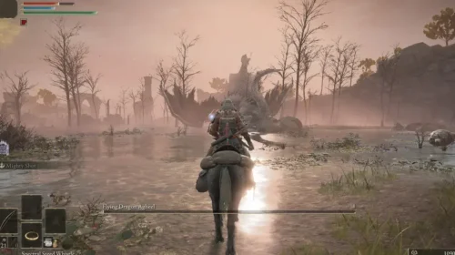 Elden Ring pc cracked